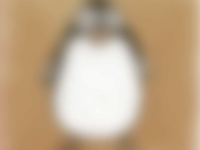 Pingu Penguin